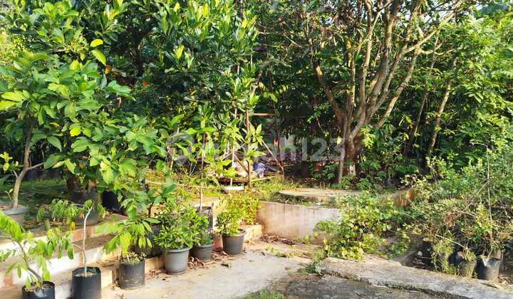 Rumah Kebun pinggir jalan SHM Jonggol Asri dan sejuk 2