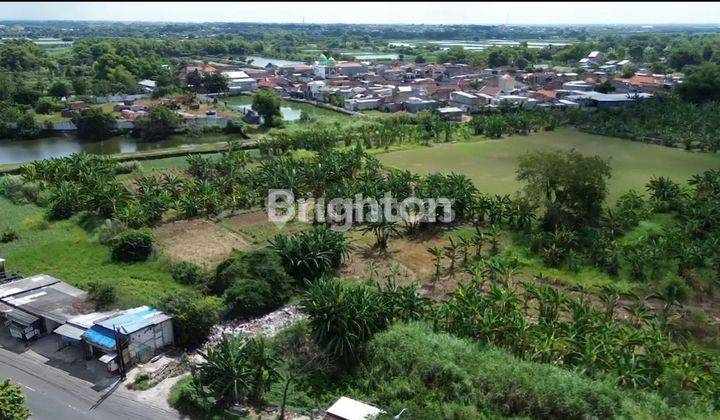 Tanah Daerah Boboh, Gresik, Menganti 1