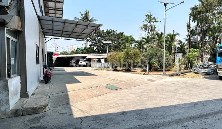 Turun Harga Lagi. Dijual Cepat Super Murah. Pabrik Dan Gudang Kapuk Kamal Turun Harga Lagi. Dijual Cepat Super Murah. Pabrik Dan Gudang Kapuk Kamal