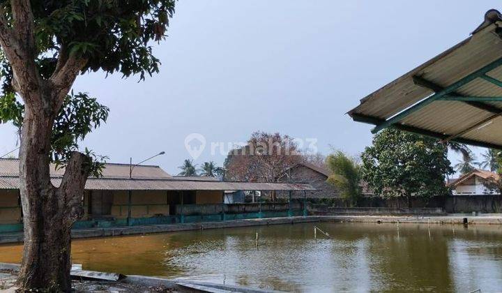 DIJUAL TANAH BEKAS PEMANCINGAN DAERAH SERANG BANTEN 1