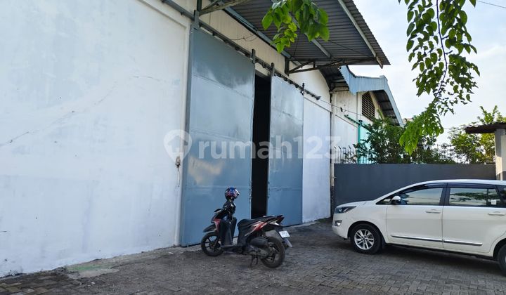 Gudang Siap Pakai Bumi Maspion Romokalisari Bebas Banjir Gudang Siap Pakai Bumi Maspion Romokalisari Bebas Banjir