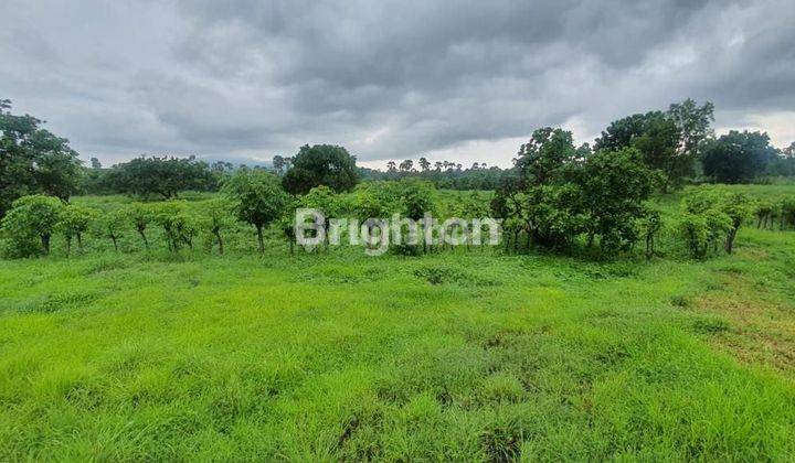 KAVLING KARANG ASEM BALI TULAMBEN COCOK UNTUK RESORT 1