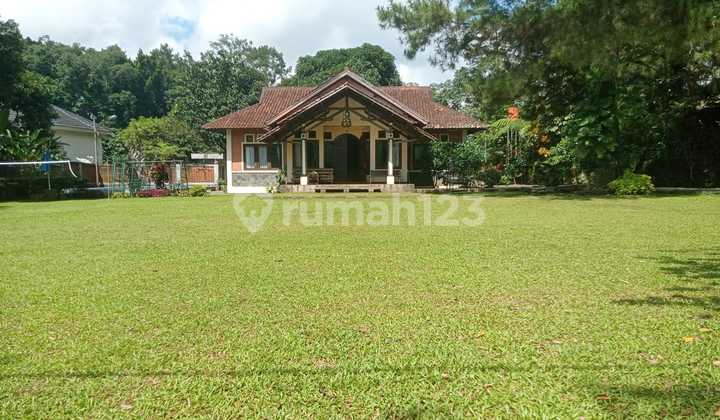 Dijual Villa Terawat Luas Produktif Di Megamendung Bogor