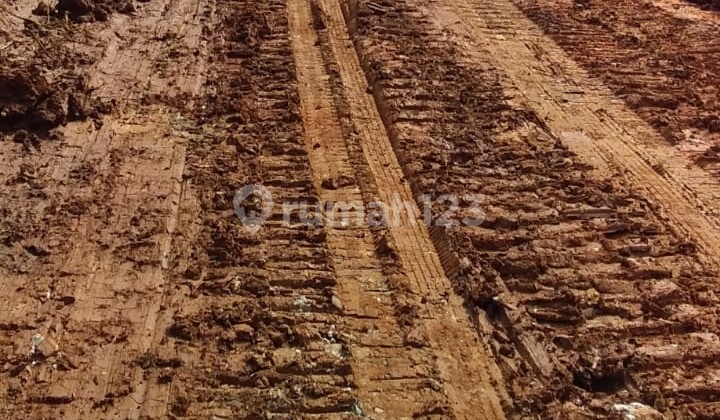 Disewakan Tanah Cocok Untuk Lapangan Padel Atau Pergudangan 