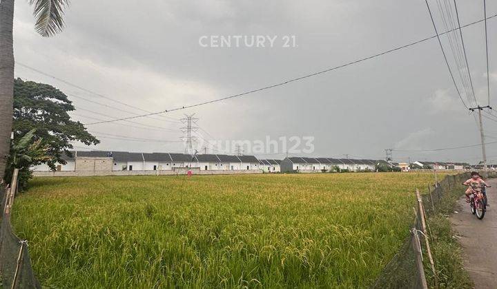 Dijual Tanah Posisi Dekat Dengan Jalan Raya Di Tambun Bekasi 2