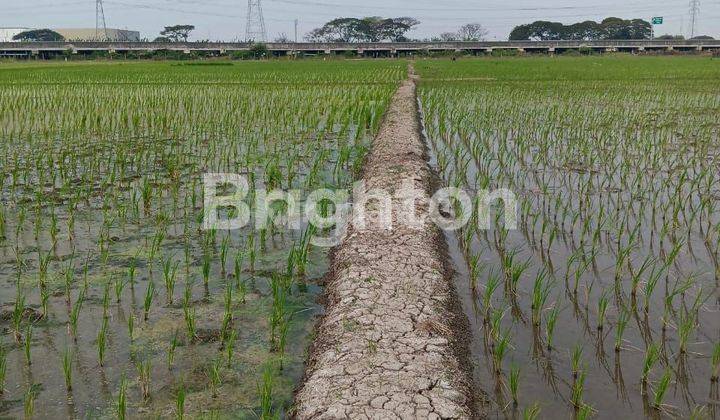 KAVLING SAMPING JALAN TOLL CILINCING CIKAMPEK JAKARTA 1