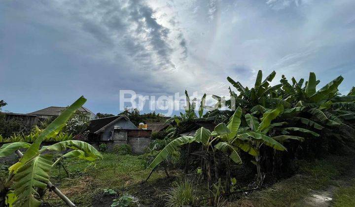 TANAH DI TIBUBENENG 2