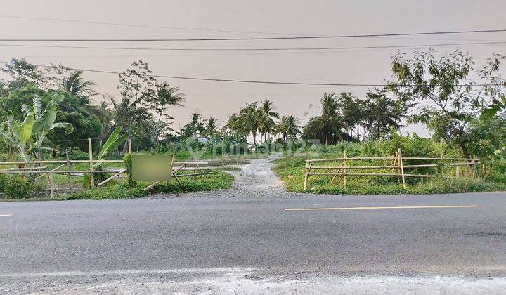 Tanah Panimbang Nempel Bibir Pantai Nego 1