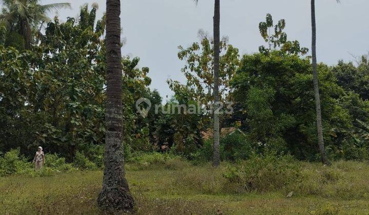 Tanah Luas Karang Jetak Dekat Kawasan Industri 2