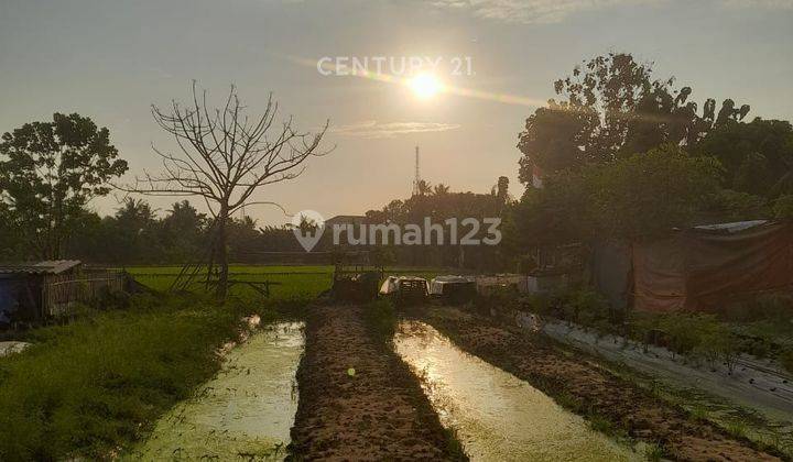 Tanah Kenanga Kebon Dalem Nego Sampai Deal 2