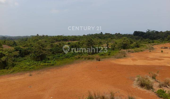 Tanah Jalan Palka Cinangka 15 Hektar Lebih Nego 1