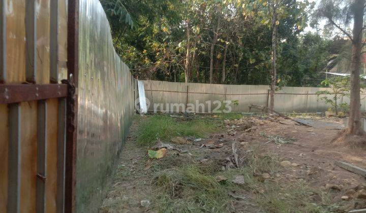 Dijual Tanah Pertanian Luas Tepi Jalan Utama Di Bantul 2