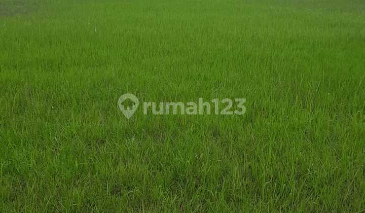 Jual Cepat Tanah Di Jababeka 1 Cikarang Jual Cepat Tanah Di Jababeka 1 Cikarang