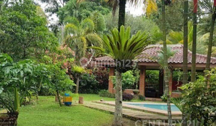 Villa De Hoek Tanah Luas Di Bogor Jawa Barat  6319 2