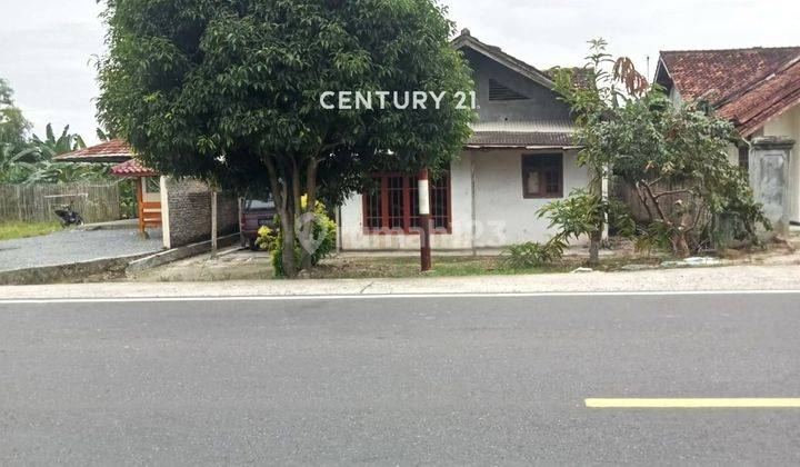 Rumah Tanah Luas Pinggir Jalan Raya Lintas Timur Lampung 8321 1