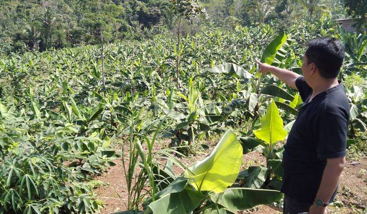 Dijual Tanah Bebas Banjir di Mekarsari Cikalong Kulon Cianjur  2