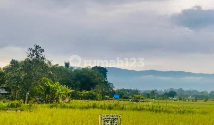 Dijual Tanah Luas 925M2 Sigumpar Toba Samosir Dijual Tanah Luas 925M2 Sigumpar Toba Samosir