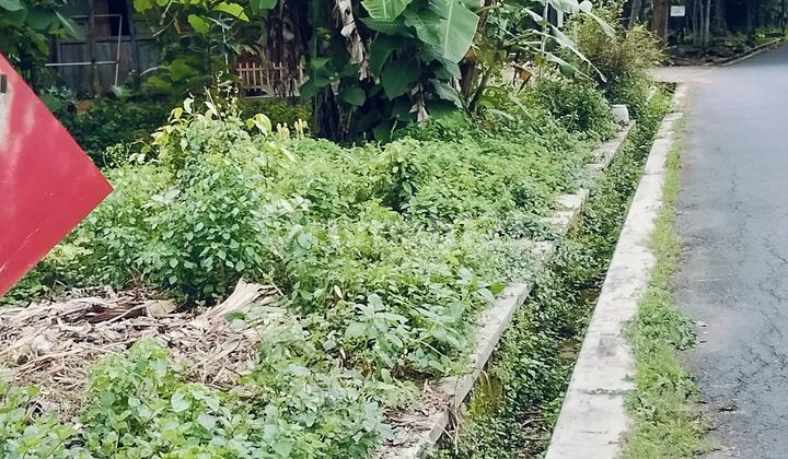 Dijual Tanah Darat Hook Kulon Progo Yogyakarta Hanya 100meter Kejalan Propinsi Dijual Tanah Darat Hook Kulon Progo Yogyakarta Hanya 100meter Kejalan Propinsi