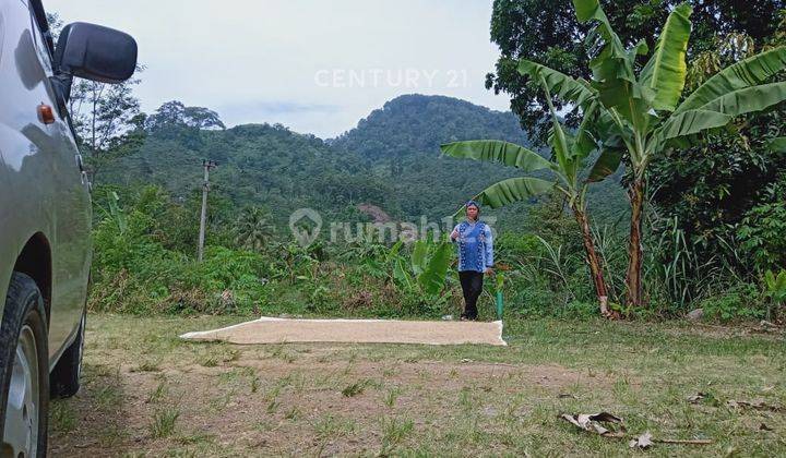 Dijual Tanah Bebas Banjir Di Mekarsari Cikalong Kulon Cianjur 2