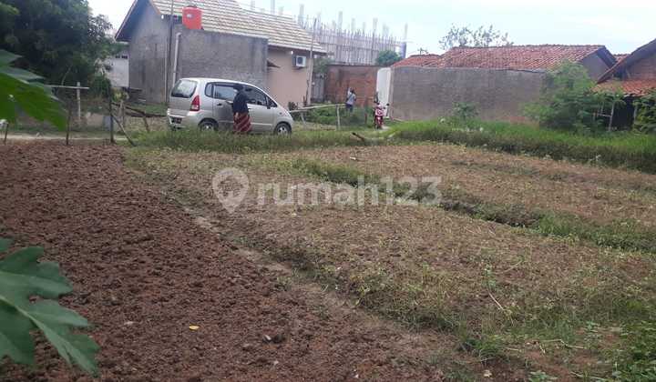 Dijual Tanah Dikampung Jagawana,desa Suka Rukun, Kav Suka Tani Cikarang Utara