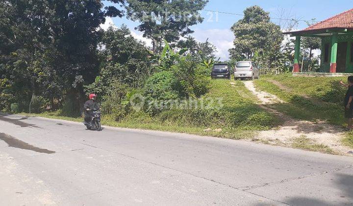 Dijual Tanah Bebas Banjir Di Mekarsari Cikalong Kulon Cianjur 1