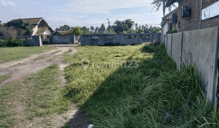 Tanah Luas Sudah Ditembok Tegal Bunder Kp Celentrang 2