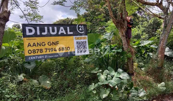 Affordable Land Cipete Curug by the Main Road Affordable Land Cipete Curug by the Main Road