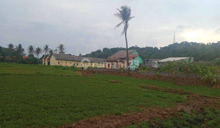 Tanah Sawah Tegal Bunder Dekat Pasar Harga Miring 2