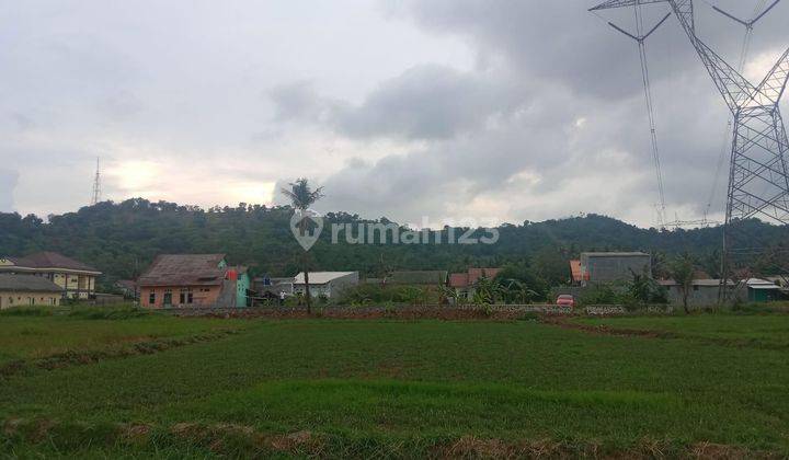 Tanah Sawah Tegal Bunder Dekat Pasar Harga Miring 1