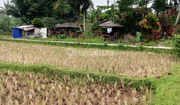 Tempat Wisata Cijunjuran Pandeglang Ada Gazebo 2