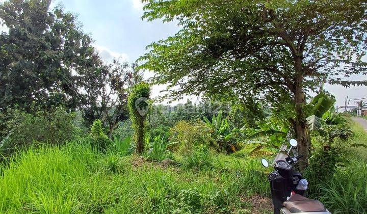 Tanah Cikerai Cibeber Jalan Utama Cocok Untuk Usaha 2