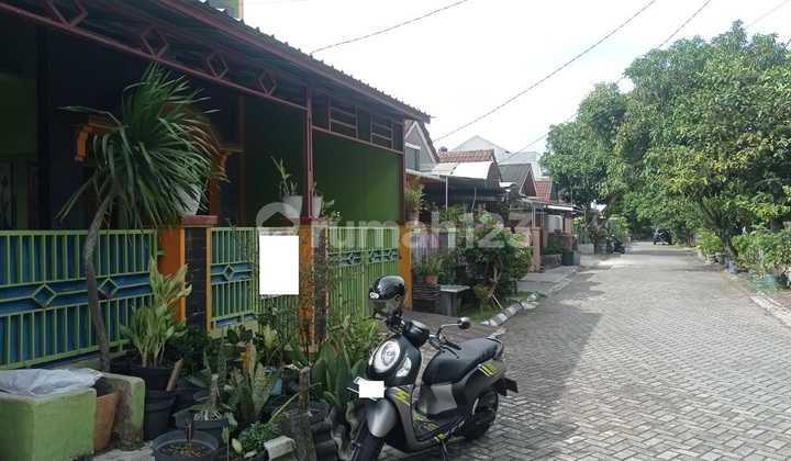 Hunian 2 Lantai Taman Krakatau Furnis Cluster Riverside 1