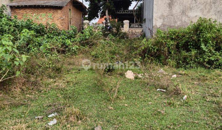 Tanah Kavling Pelamunan Kramatwatu Harga Miring 2