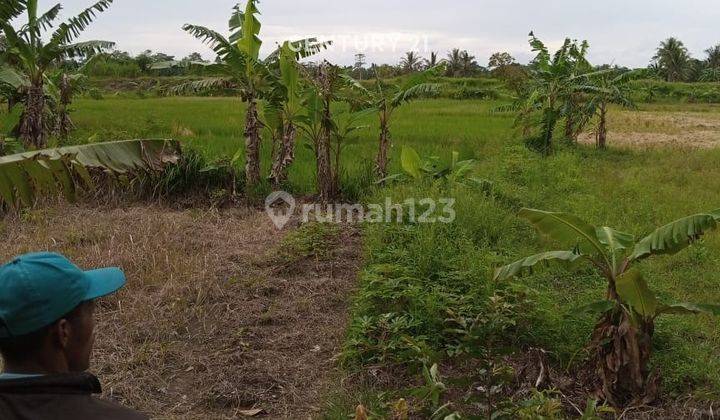 Tanah Jalan Raya Pagelaran Panimbang Akses Tol 2