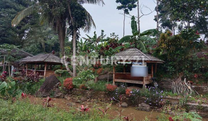 Tanah Sawah Tempat Wisata Cihunjuran Nego Sampai Deal 1