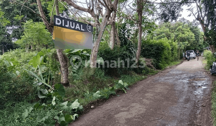 Affordable Land in Cipete Village, Curug, Main Road Affordable Land in Cipete Village, Curug, Main Road