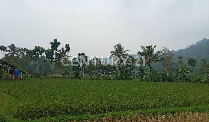 Tanah Sawah Tempat Wisata Cihunjuran Nego Sampai Deal 2