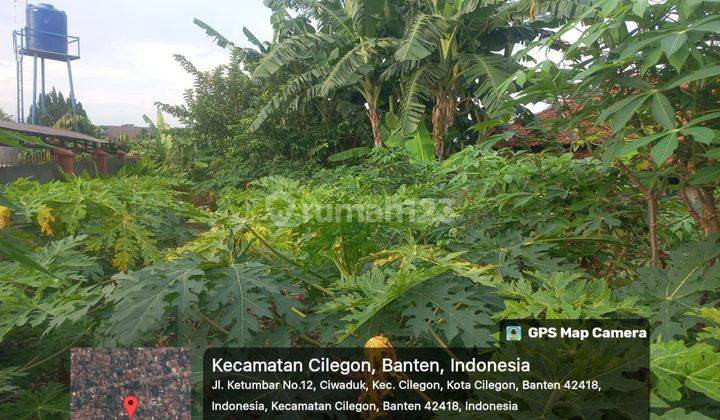 Tanah Kavling BBS Cilegon Lokasi Tengah Kota 2