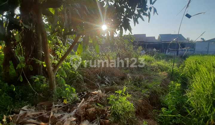 Tanah Cibeber Akses Mobil Harga Miring Nego Sampai Deal