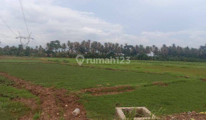 Tanah Sawah Tegal Bunder Dekat Pasar Harga Miring 2