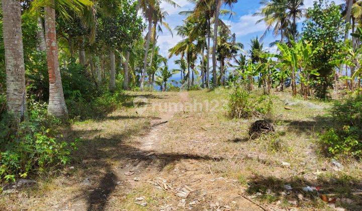 SURE CLOSING FOR SALE LAND WITH SEA VIEW LOCATION PEJUKUTAN NUSA PENIDA KLUNGKUNG
 2