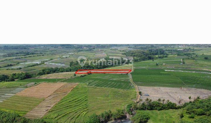 PASTI DEAL DI JUAL TANAH VIEW LAUT & SAWAH LOKASI KELATING KERAMBITAN TABANAN
 1