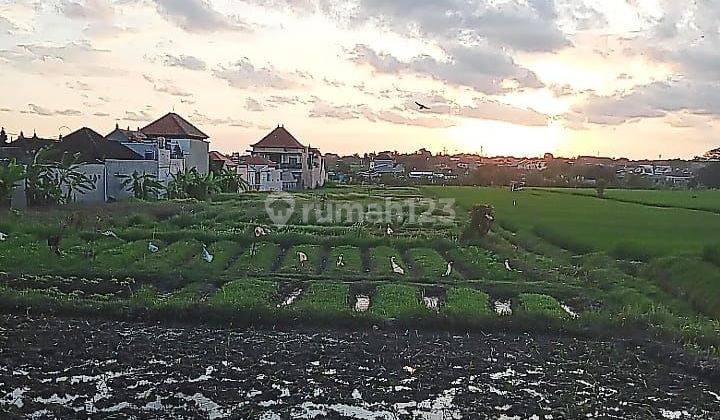 SUSUSUSUPER DEAL FOR SALE LAND WITH RICE FIELD VIEW IN ANTASURA PAGUYANGAN NORTH DENPASAR LOCATION
 1