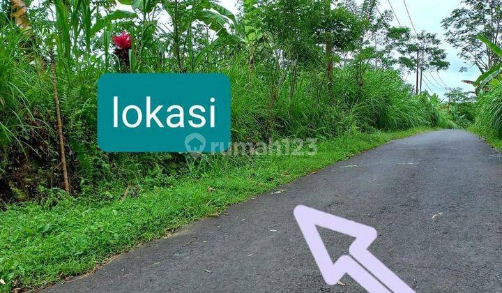 PASTI CLOSING DI JUAL TANAH VIEW LEMBAH & HUTAN LOKASI TEGALLALANG UBUD GIANYAR 1