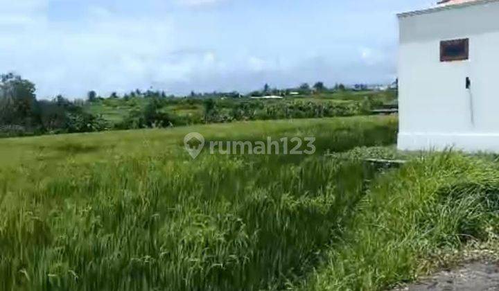 Land for rent in a different location in Mengwi Kuta North 2