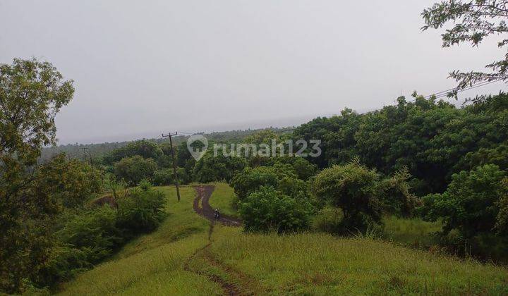 Land for sale at the location of the Bulelelng Bali Fort 2