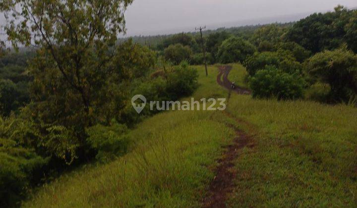 Land for sale at the location of the Bulelelng Bali Fort 1