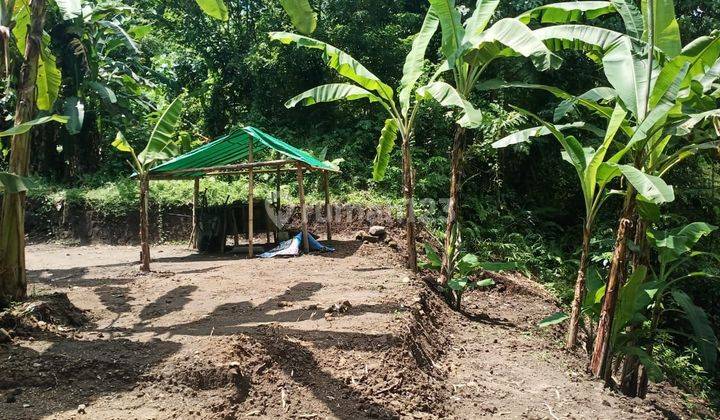 Land for sale at the Pandak Gede location in Tabanan 2