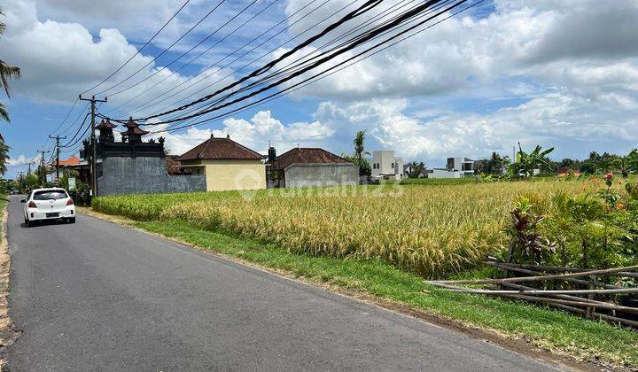 Land for sale located on Kedungu Tabanan beach road 2