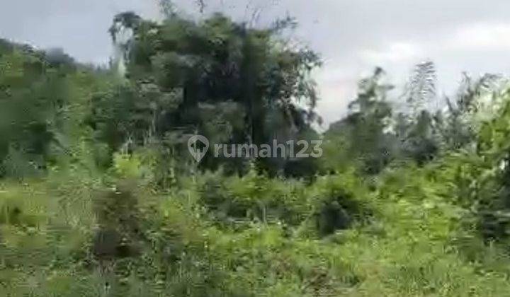 Dijual tanah lokasi kemenuh sukawati gianyar bali 2